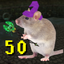 50enemyrat emote for Discord