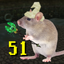 51ratenemy emote for Discord