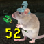 52ratenemy emote for Discord