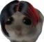 AdaHamster emote for Discord