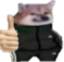 adidascheemsthumbsup emote for Discord