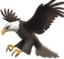 Adler emote for Discord