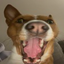 AdrikPog emote for Discord