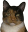 Adeline emote for Discord
