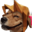 aerwoff emote for Discord