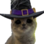 AeriesWitch emote for Discord
