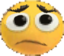 agaconcerned emote for Discord