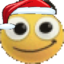 agachristmass emote for Discord