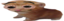 agabertwithdrawal emote for Discord