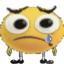agaSAJ emote for Discord