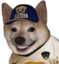 AguantePumas emote for Discord