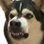 agrrr emote for Discord