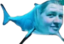 AgreShark emote for Discord