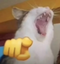AHAHAHAAHAHAYOUIDIOT emote for Discord