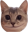 agato emote for Discord