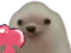 ahmadmuhsinLove emote for Discord