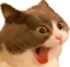 AHHHHHHHHHHHH emote for Discord