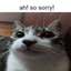 AhSoSorry emote for Discord