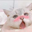ahegaocat emote for Discord
