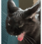 AAAAAA emote for Discord