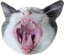aaaa emote for Discord