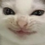 absolutelydiabolical emote for Discord
