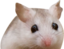 abmLurk emote for Discord