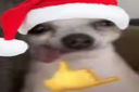 abayundaxmas static emote for Discord, Twitch and Slack