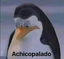 Achicopalado emote for Discord