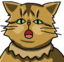 acatOH emote for Discord