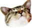 ace2 emote for Discord