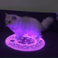 AlmightyCat emote for Discord