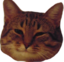 AleekseeV emote for Discord