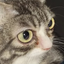 AlrightLookingR emote for Discord