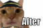Alter emote for Discord