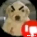 Alchilenowe static emote for Discord, Twitch and Slack