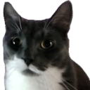 AlfWhat static emote for Discord, Twitch and Slack