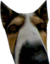 Alfred emote for Discord