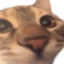 AlvaLookingAtYou emote for Discord