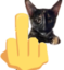 aliceFYOU emote for Discord