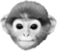 AlexMonke emote for Discord