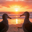 AlbatrossSunset emote for Discord