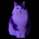 ALBUS static emote for Discord, Twitch and Slack