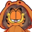 AlteGarfield emote for Discord