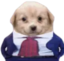 alfredo emote for Discord