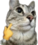 alsuing2 emote for Discord
