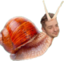 alexmelc emote for Discord