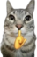 alsuing1 emote for Discord