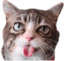 AlMlem emote for Discord