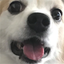 aliasDerp emote for Discord
